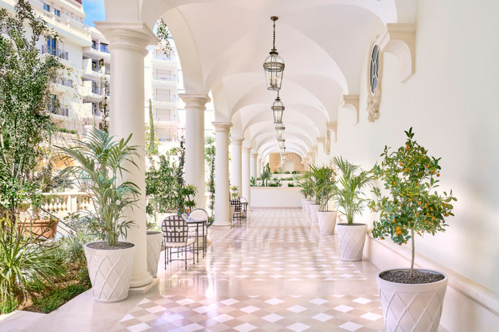 Carlton Cannes