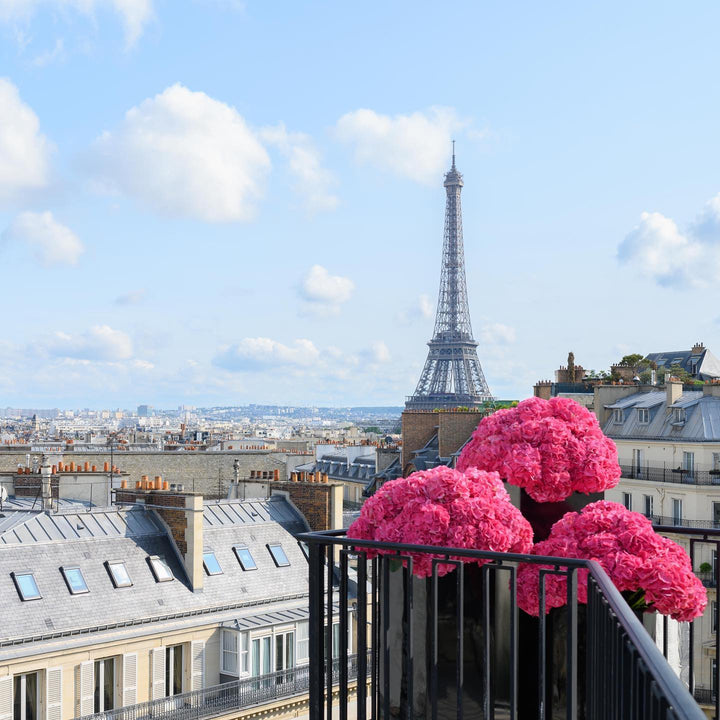 Four Seasons Hotel George V