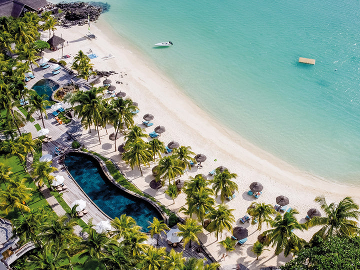 Royal Palm beachcomber