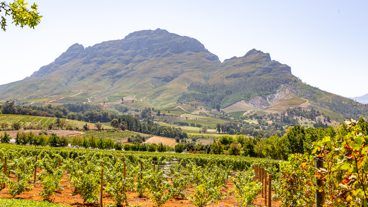 South Africa Unveiled