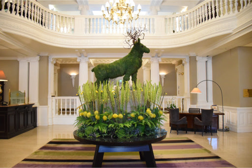 The Balmoral